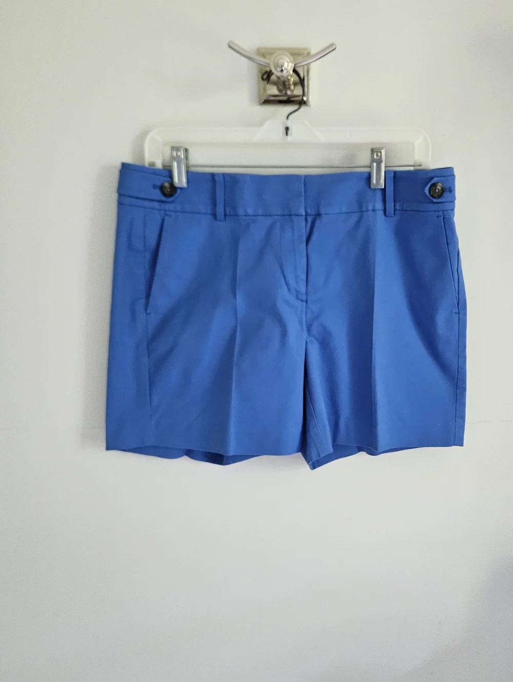 Ann Taylor Blue Shorts